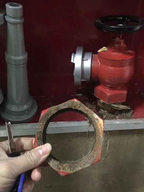 “天灾”背后的人祸 石家庄瀚唐小区物业，你的不作为何时休？